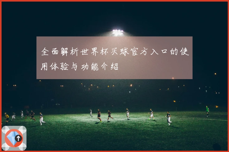 全面解析世界杯买球官方入口的使用体验与功能介绍