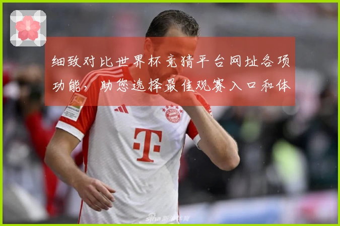 细致对比世界杯竞猜平台网址各项功能，助您选择最佳观赛入口和体验