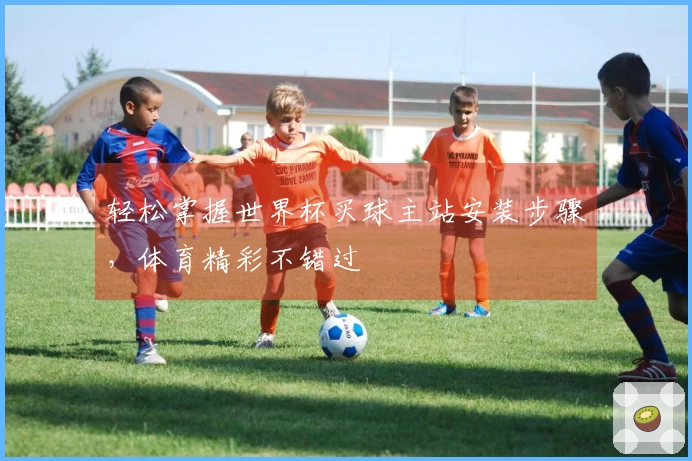 轻松掌握世界杯买球主站安装步骤，体育精彩不错过