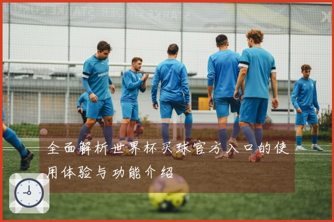 全面解析世界杯买球官方入口的使用体验与功能介绍